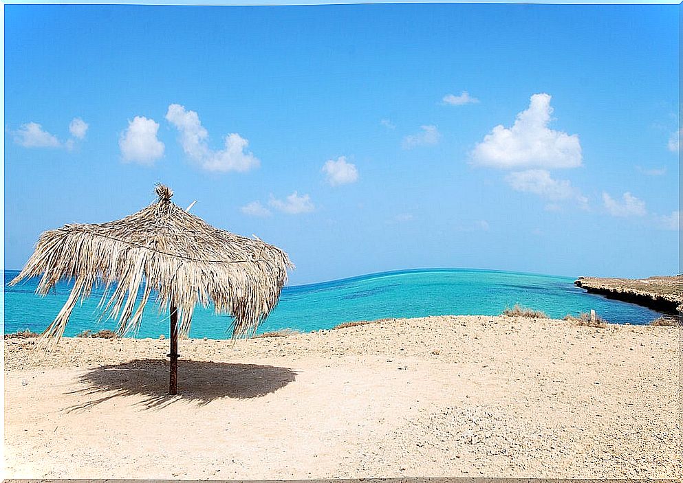 Beach in Djibouti