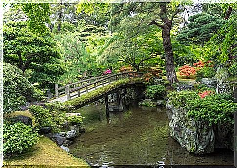 Gardens of the imperial palace, one of the treasures of Kyoto 