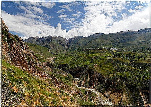 Colca canyon in Peru