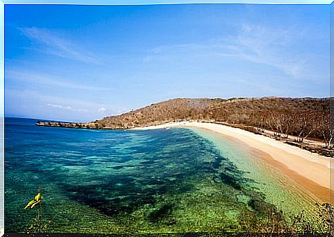 Pink Beach in Lombok