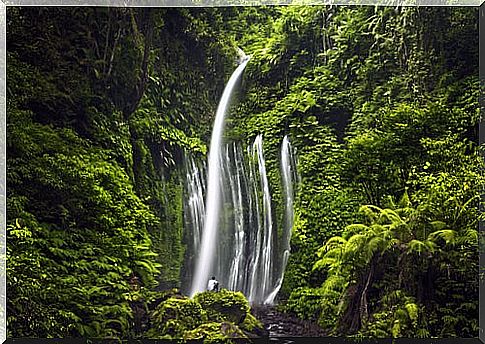 Waterfalls in Lombok