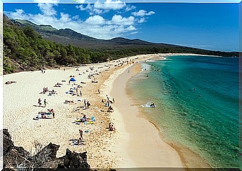 Beach on Maui in Hawaii