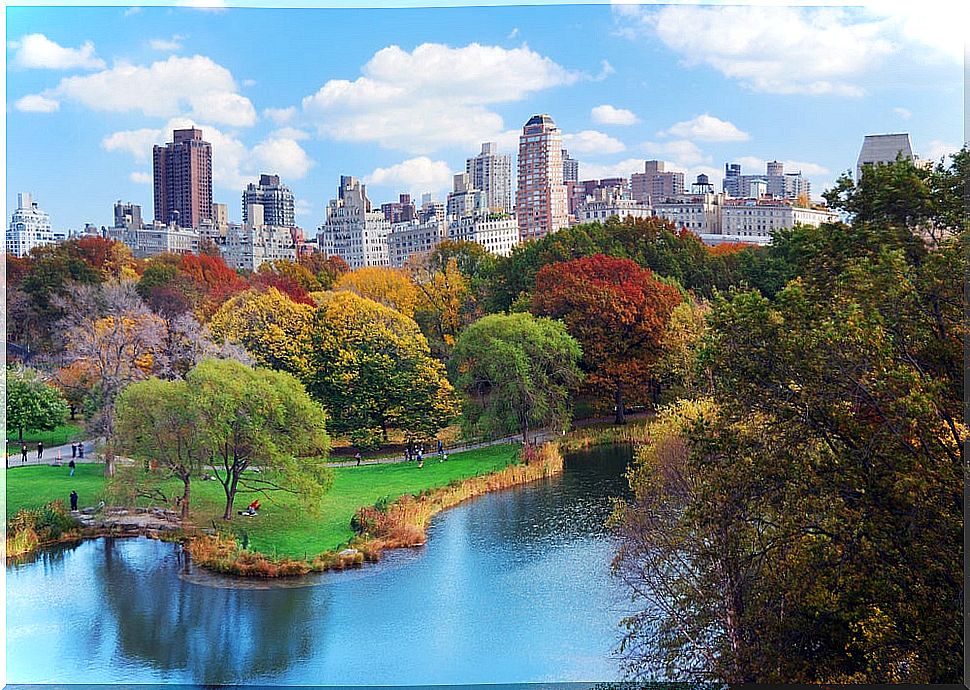 Central Park in New York