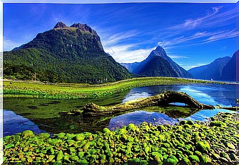 Milford Sound one of the places to see in New Zealand