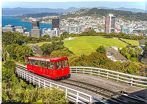 Wellington, one of the places to see in New Zelnda 