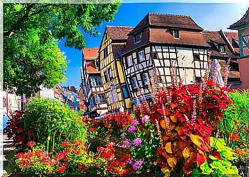 A route by car through the most beautiful villages of Alsace