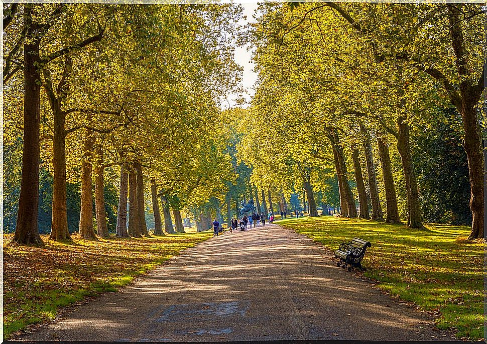 Autumn view in Hyde Park, London.