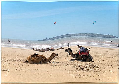 Essaouira Beach