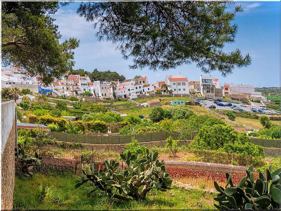 Alaior, the university city of Menorca