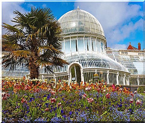 Palm House in Belfast