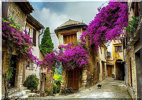 A wonderful tour of Provence