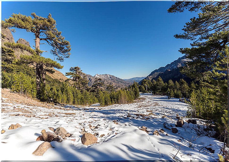 Landscape of Haut Asco