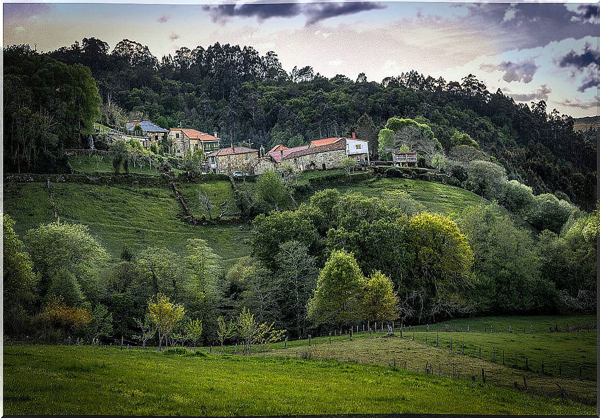 Rural landscape of Cerdedo - Cotobade-