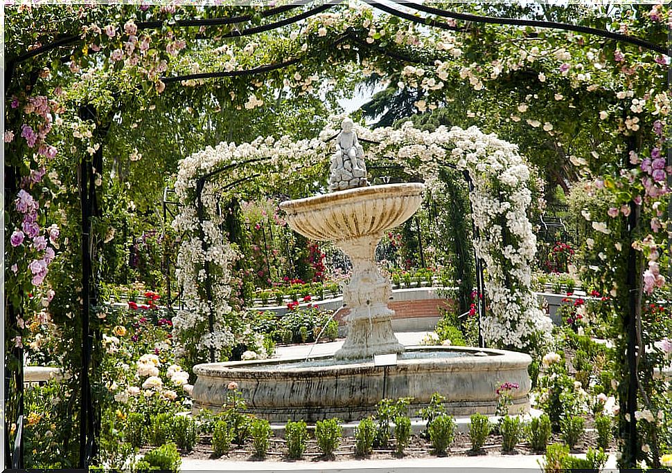 La Rosaleda in Madrid's Retiro Park