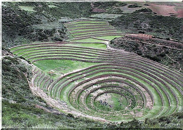 Moray in Peru