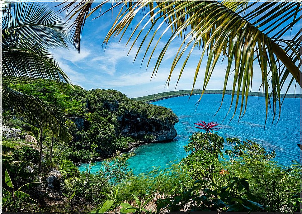 8 amazing things to do on Lifou island