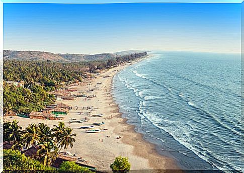 Arambol Beach in Goa