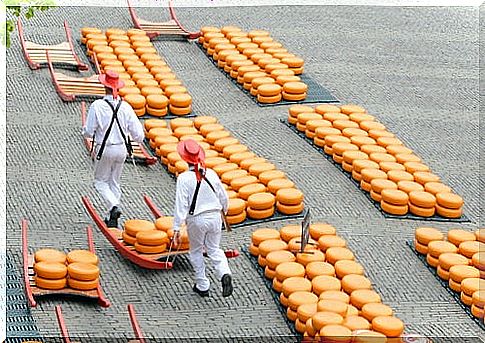 Alkmaar cheese market in Holland