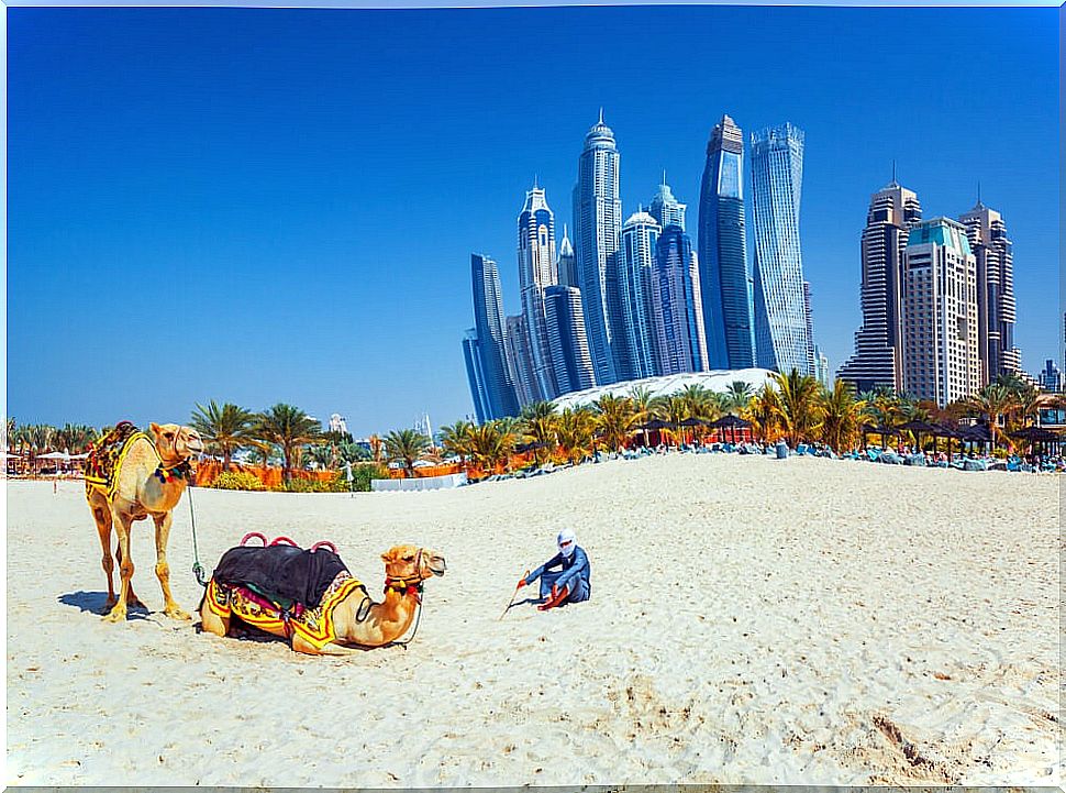 Camels and skyscrapers