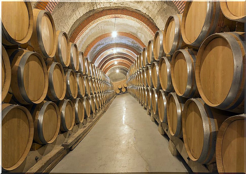 Ribera del Duero: the best wineries on its Golden Mile