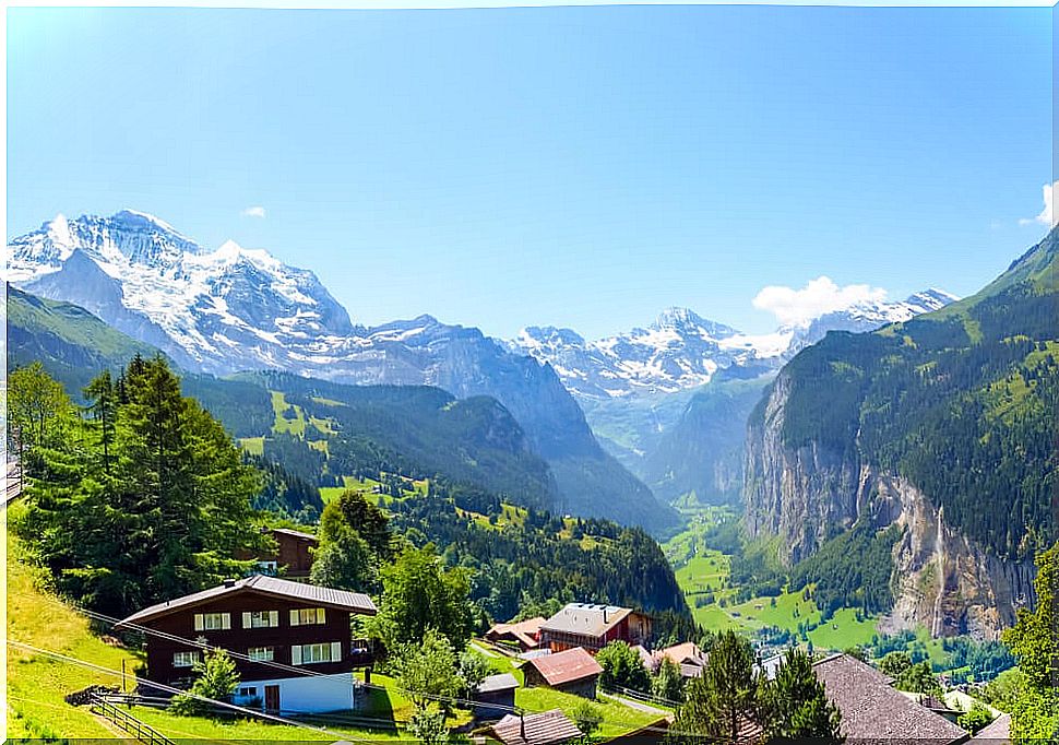 View from Wengen