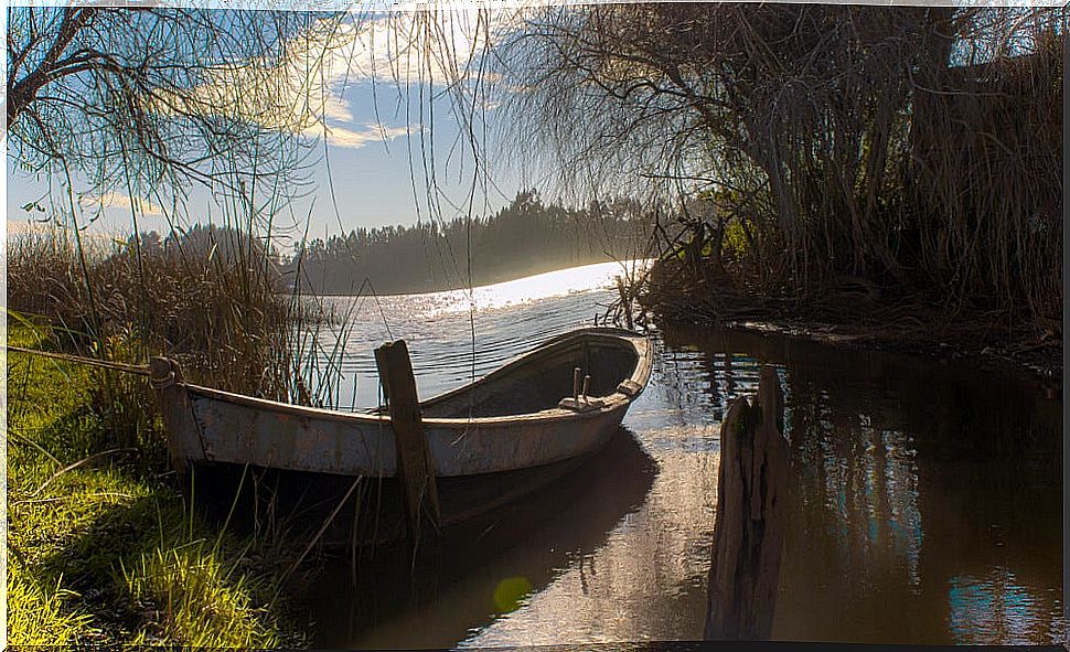 Budi Lake in Chile