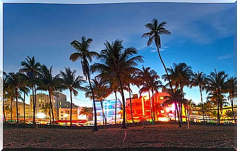 Night in Miami Beach