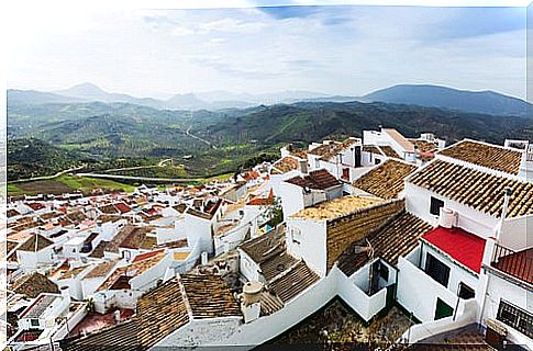 View of Olvera