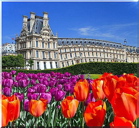 Luxembourg Palace in Paris