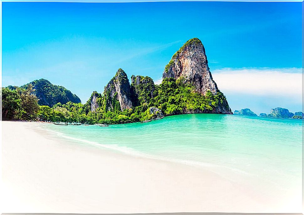 Phi Phi Islands: live a different experience