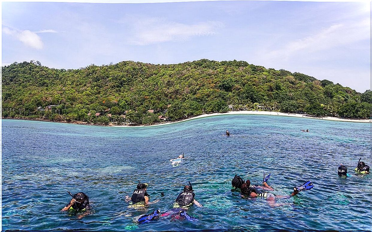 Scuba divers on the Koh Phi Phi islands