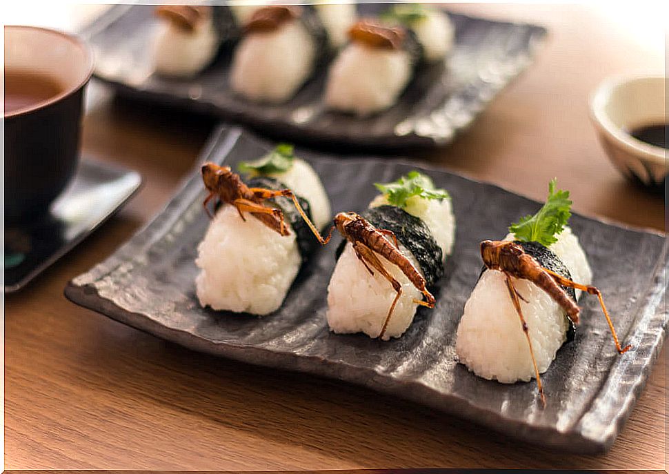 Sushi with insects