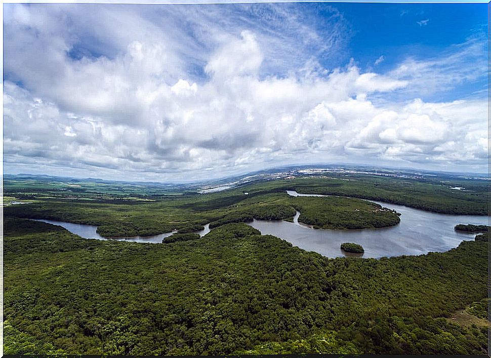 Watersheds, Amazon River