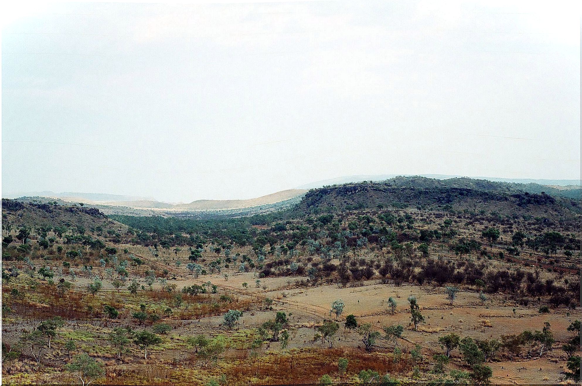 Riversleigh and Australian Fossil Mammals