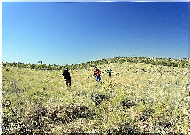 Researchers at Riversleigh