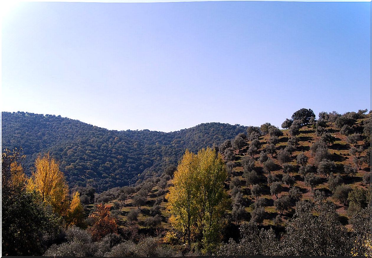 Sierra Norte de Sevilla, heart of Sierra Morena