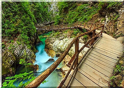 Slovenia for nature lovers