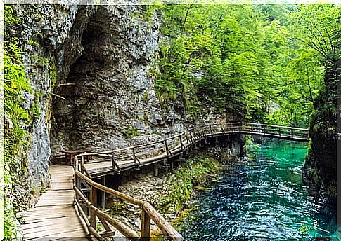 Vintgar Gorge in Slovenia