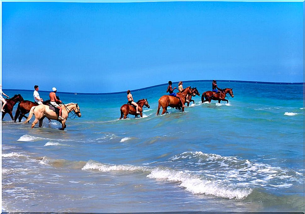 Swimming with horses, one of the best experiences in Jamaica