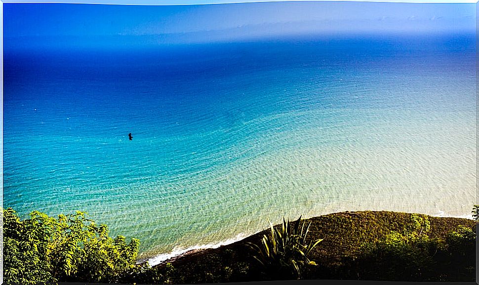 View from Lovers Leap in Jamaica