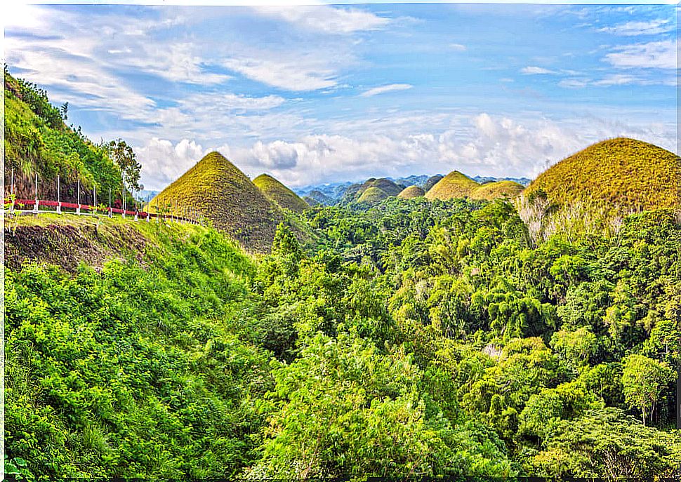 Chocolate Hills in Bohol