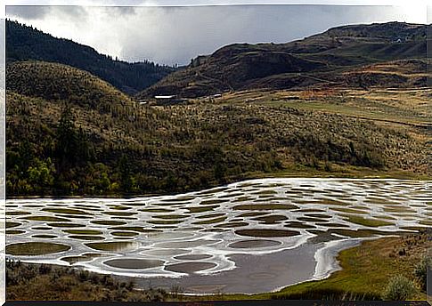 Spotted lake