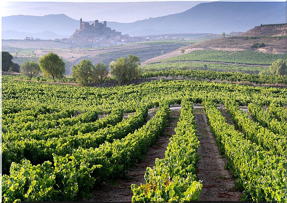 San Vicente de Sonsierra in La Rioja