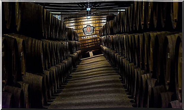 Winery in Porto