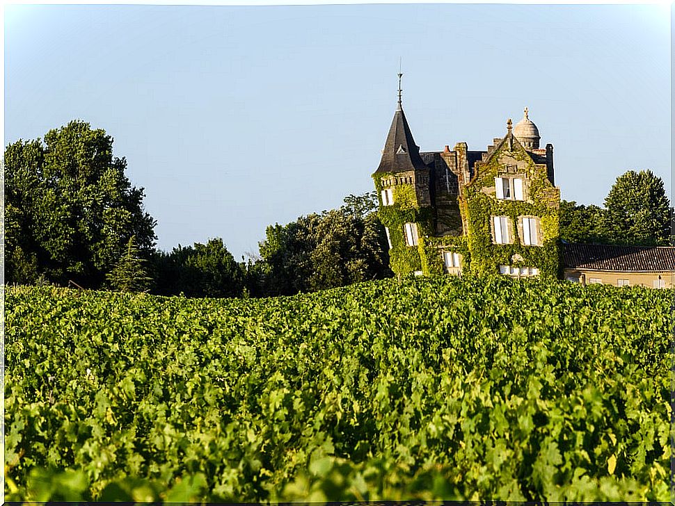 Vieñdos in Bordeaux, one of the destinations for wine tourism lovers