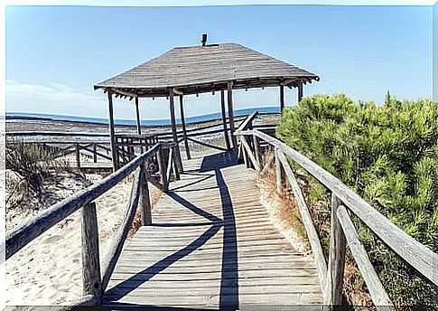 Punta Candor, one of the southern nudist beaches