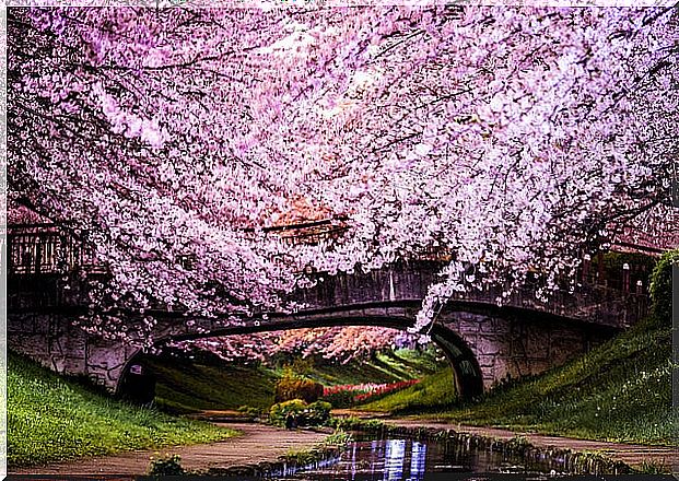 Wonderful places to enjoy in spring