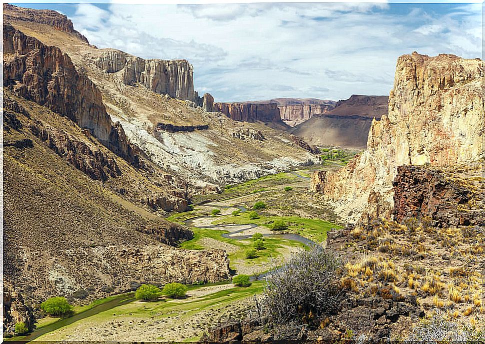 River Canyon Pinturas