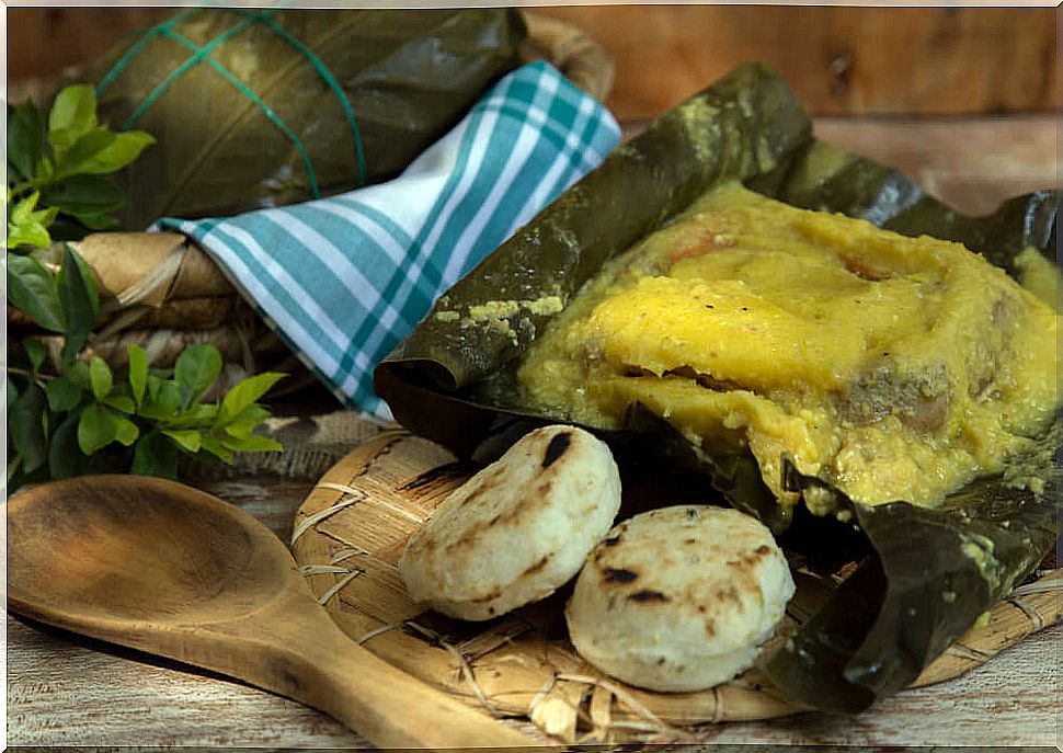 Tolima Tamale