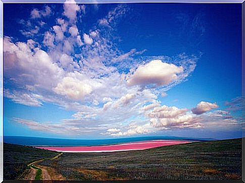 Hillier Lake